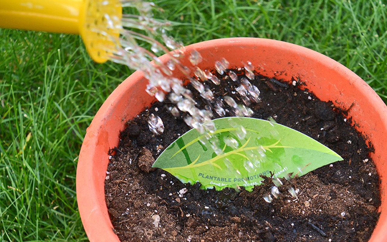 A supplier and manufacturer of eco-friendly seed paper products that grow into wildflowers, herbs, or vegetables.